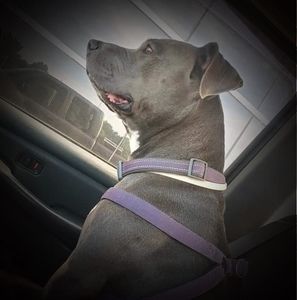 Meet your Posher, Caleb